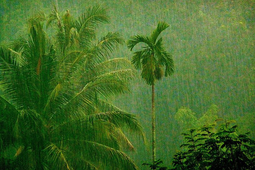Tropische regenbui van Lex Boon