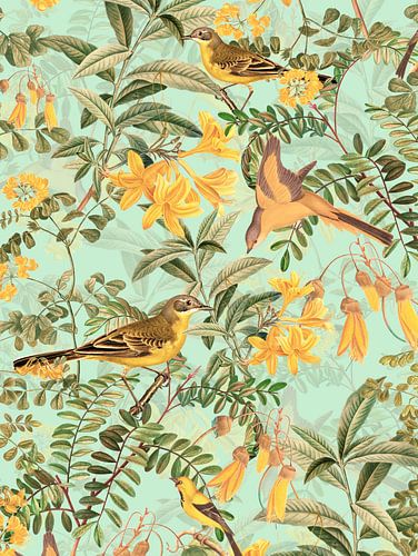 Vögel im Paradisgarten