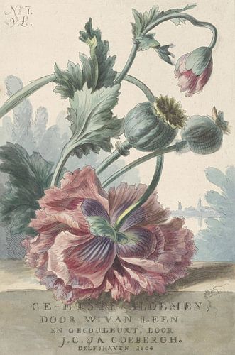 Stilleven met klaprozen, Willem van Leen