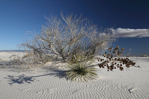 White Sands Dunes National Monument in New Mexico