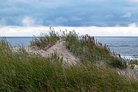 Wonderful sand dune at Henne Strand in Jutland