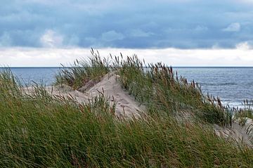 Magnifique dune de sable à Henne Strand dans le Jutland sur Silva Wischeropp