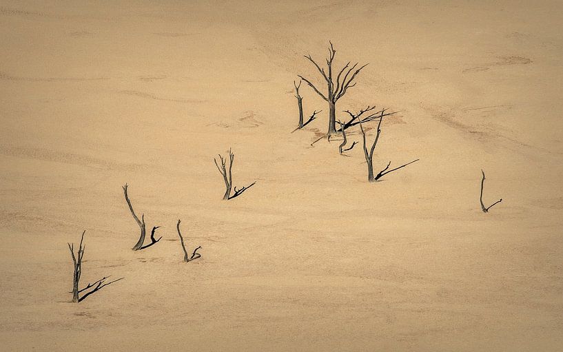Beeld van Deadvlei in Namibië van bovenaf gezien van Chi