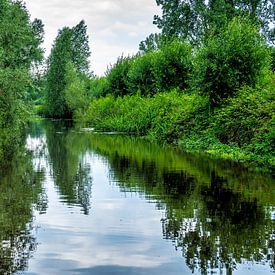 Kleine Dommel im Grünen von Ivonne Fuhren-van de Kerkhof