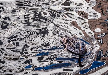 Eend creëert eigen schilderij