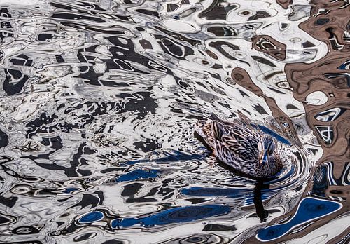 Eend creëert eigen schilderij