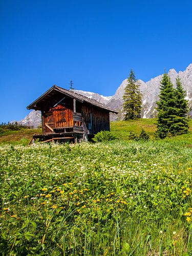 Petite cabane sur le Hochkönig