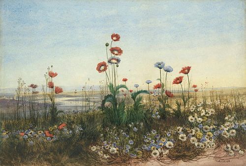 Een ver uitzicht op Derry door een oever van wilde bloemen, Andrew Nicholl