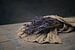Stilleven met lavendel in linnen shabby doek van Mayra Fotografie