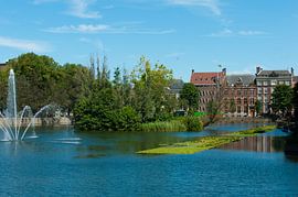 Den Haag von Brian Morgan