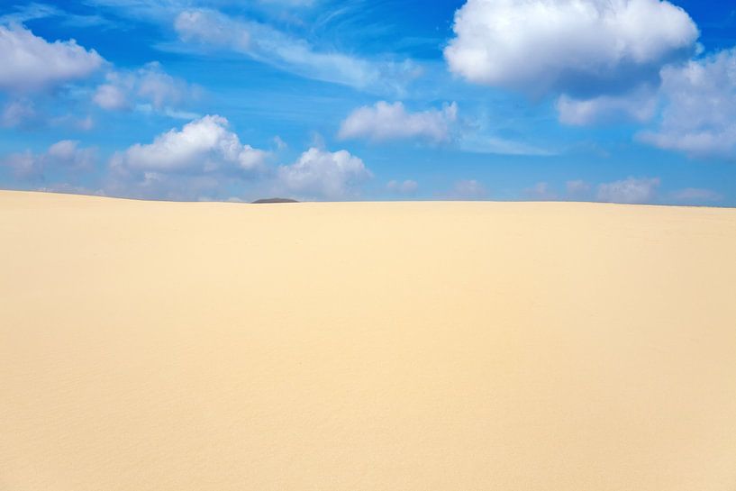 Sand Dunes by Bo Valentino