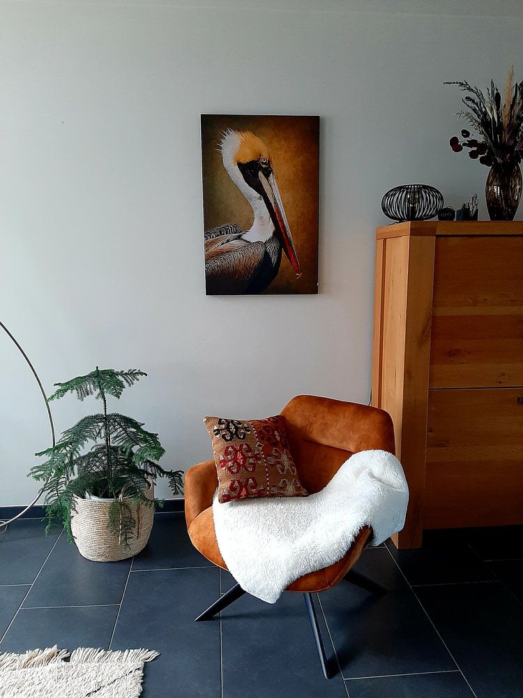 Portrait Of A Pelican  by Diana van Tankeren 