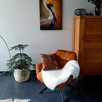 Photo de nos clients: Portrait d'un pélican par Diana van Tankeren, sur art frame