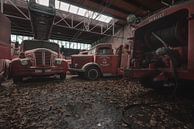 Decayed Fire Trucks by Perry Wiertz thumbnail