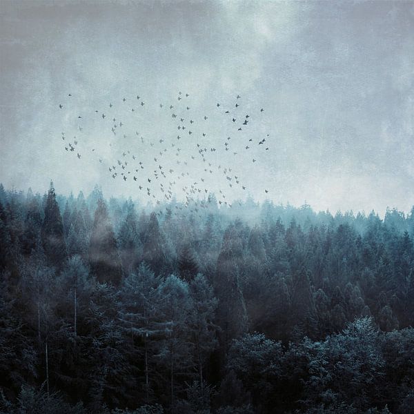 Vogelschwarm über Nebelwald von Dirk Wüstenhagen