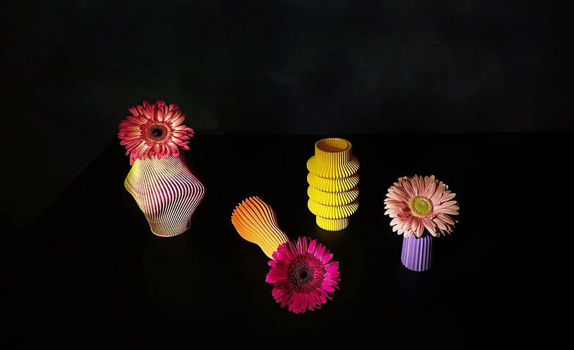 Die Schönheit der Gerbera-Blüten . von Saskia Dingemans Awarded Photographer