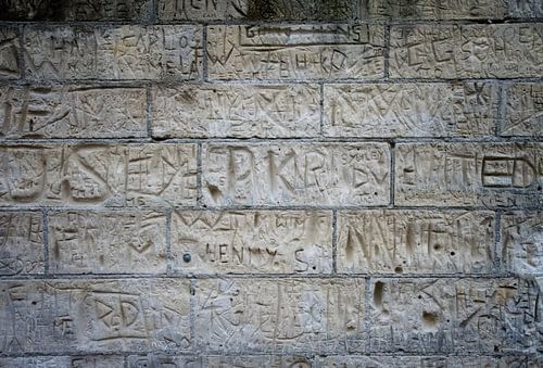 Gekken en dwazen in mergel