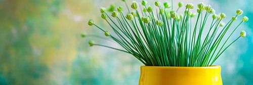 Green plant magic