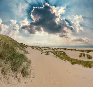 Paysage de dunes, Egmond aan Zee, Hollande du Nord sur Rene van der Meer