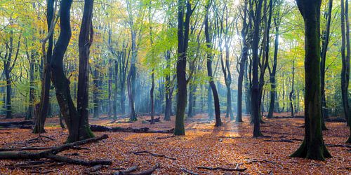 Speulderbos (Nederland)