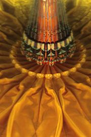 Kurkuma/Blume von tys damhuis