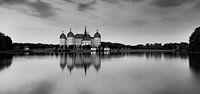 Schloss Moritzburg (Sachsen) von Frank Herrmann Miniaturansicht