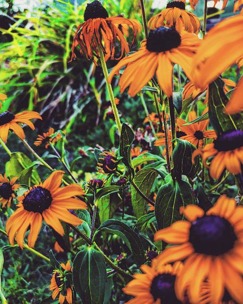 Flowers by Lavieren Photography