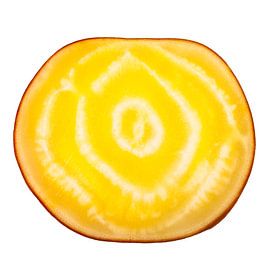 Biet geel doorsnede von Krijn Westerburgen