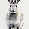 Lapin en blanc Portrait d'une vie douce et silencieuse sur Eva Lee