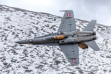 Zwitserse Boeing F/A-18C Hornet. van Jaap van den Berg