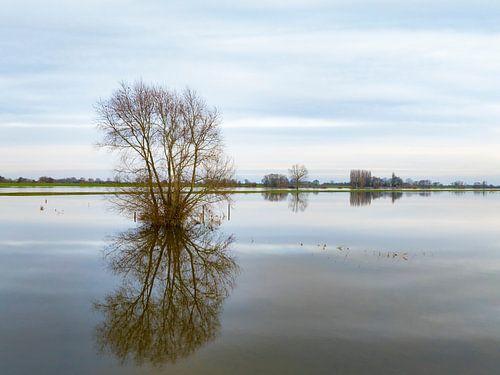 Overstroming van de IJssel met hoge waterstanden in de uiterwaarden