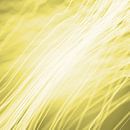 Lichtfasern gelb von Jörg Hausmann Miniaturansicht