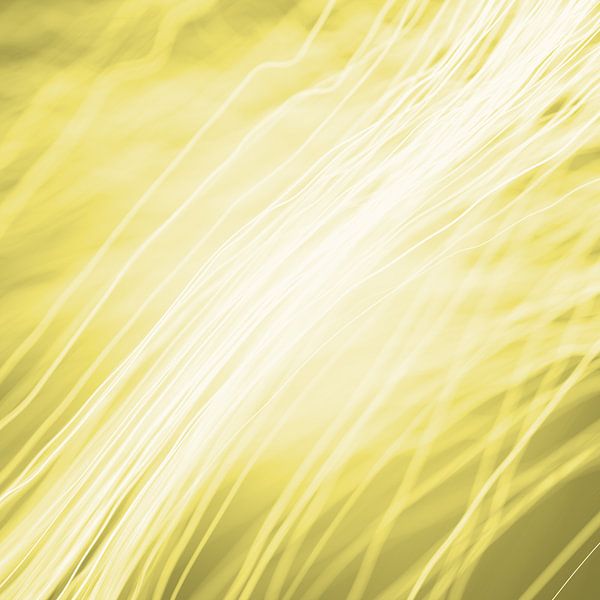 Lichtfasern gelb von Jörg Hausmann