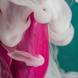 Tulip enveloped in white smoke by Marjolijn van den Berg