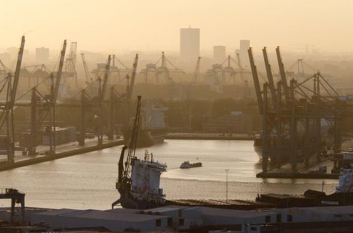 Merwehaven, Rotterdam