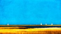 Zomer aan zee