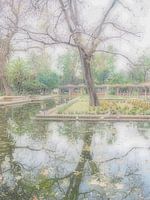 Monet style