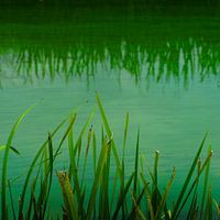 Groene Minimalisme