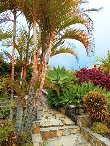 De natuur op La Isla Bonita