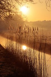 Gouden pieken bij zonsopgang