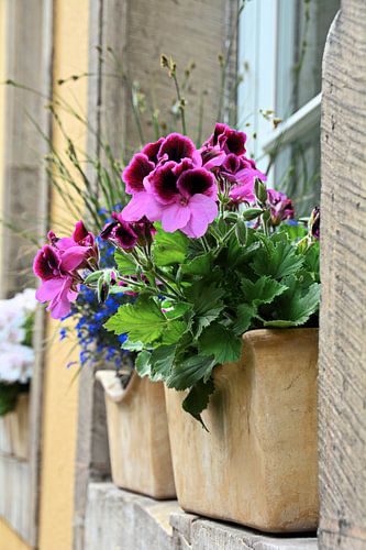 Bloemen als decoratie