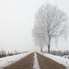 Boom in mistig winter landschap van Art Wittingen