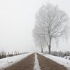 Boom in mistig winter landschap sur Art Wittingen