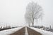 Boom in mistig winter landschap von Art Wittingen