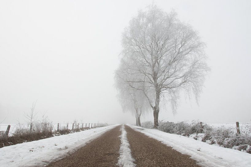 Boom in mistig winter landschap von Art Wittingen