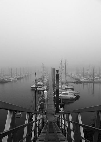 Port dans la brume de mer