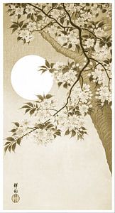 Blühende Kirschblüten im Mondlicht in hellem Olivgrün (Ohara Koson)