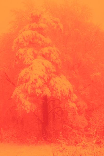 A snow-covered tree in winter in the evening by art559