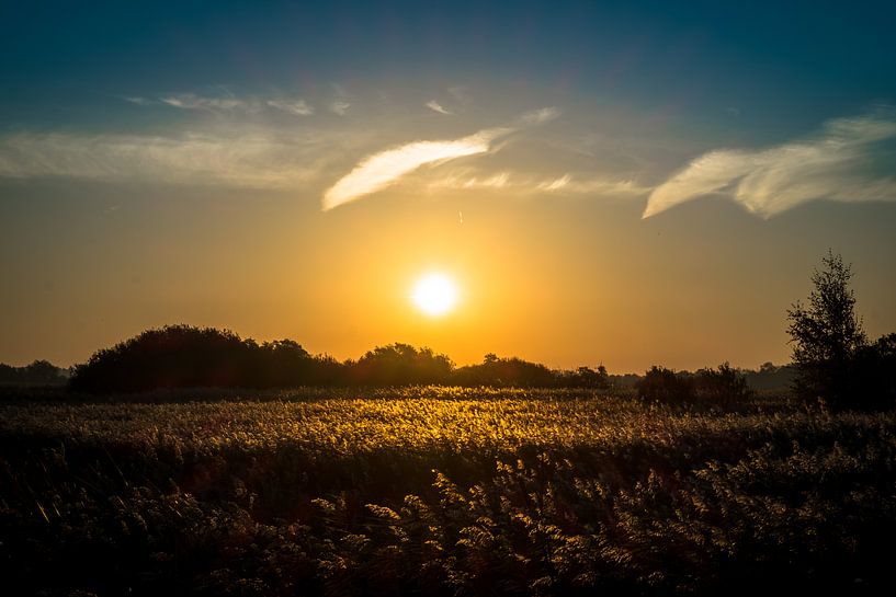 zonsopgang boven rietvelden by Peter Bouwknegt