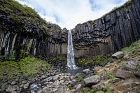 Svartifoss waterfall in Iceland | Travel photography